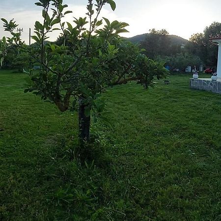 Sole Ruiu Olbia Grazioso Bilo In Periferia 빌라 외부 사진