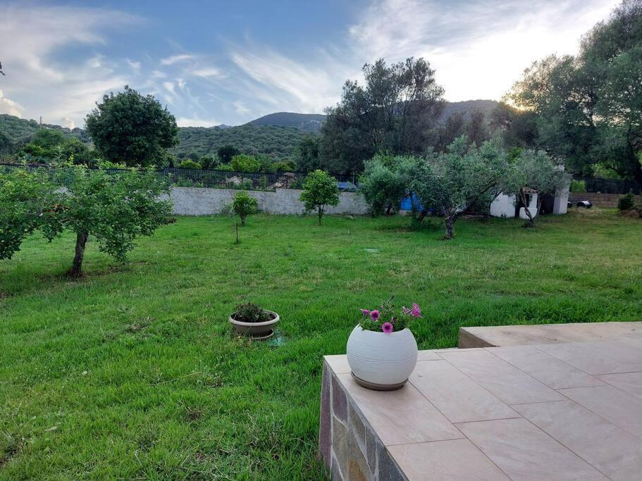 Sole Ruiu Olbia Grazioso Bilo In Periferia 빌라 외부 사진