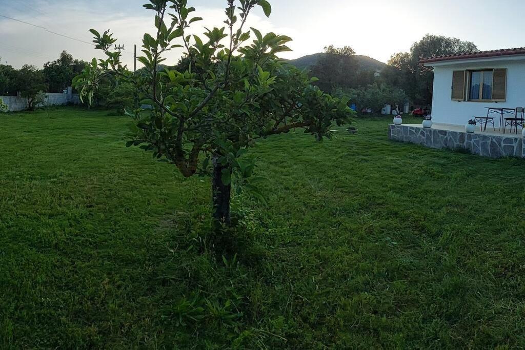 Sole Ruiu Olbia Grazioso Bilo In Periferia 빌라 외부 사진